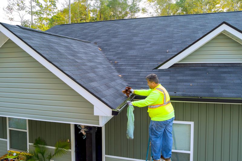 Shingle Removal