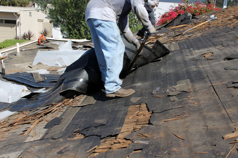 Shingle Removal Process
